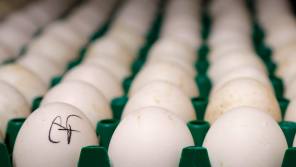 Schroders opts for alts rather than bonds
