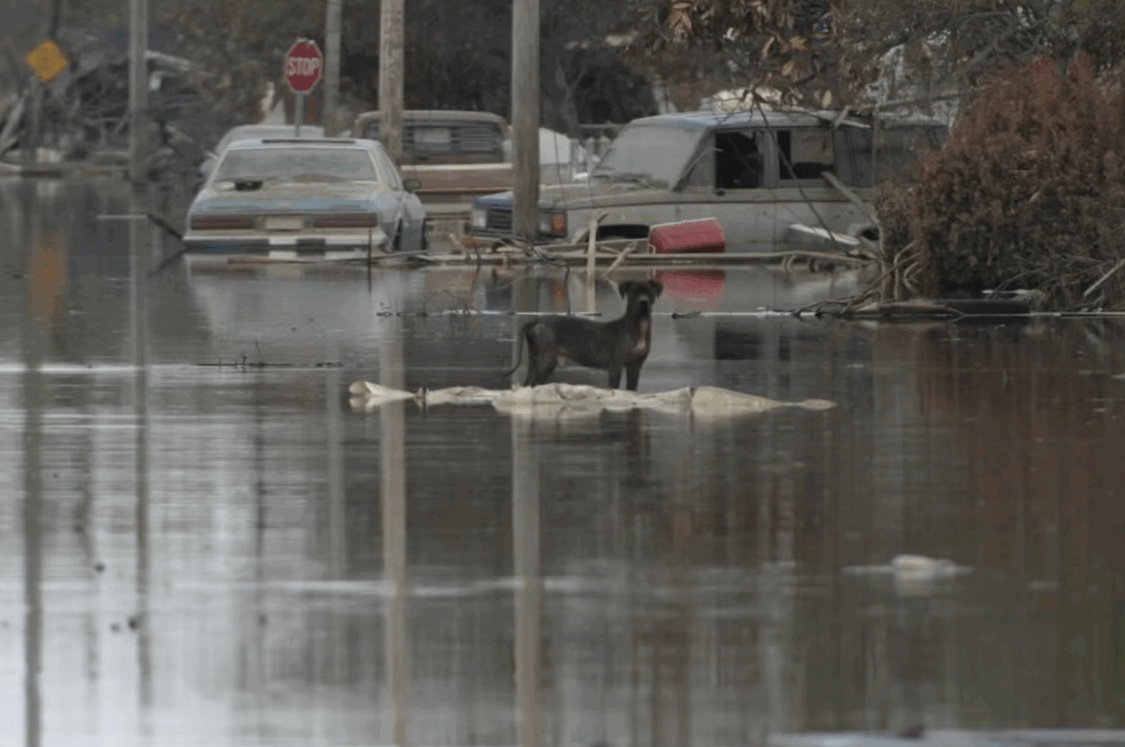 Screenshot 2025-08-27 at 1.10.59 PM